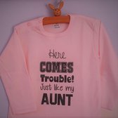 Baby Rompertje roze meisje met tekst tante | Here comes trouble Just like my Aunt | lange mouw | roze met grijs | maat 50/56