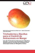Trichoderma y Bacillus Para El Control de Antracnosis En Mango
