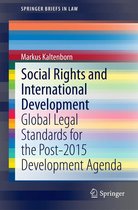 SpringerBriefs in Law - Social Rights and International Development