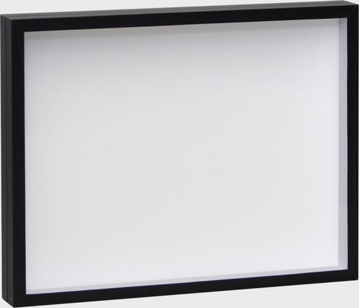 Zwarte insectendoos 40 cm x 50 cm met ophanghaakje