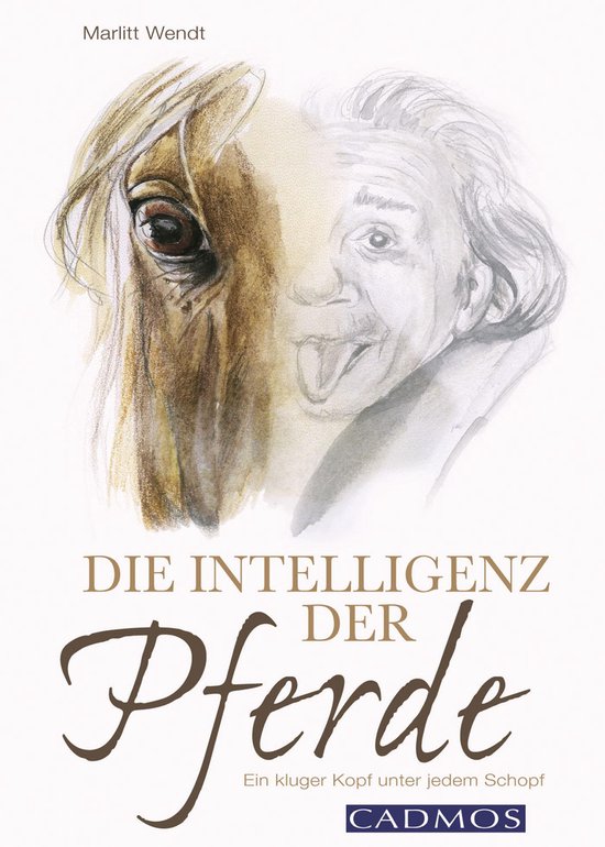 Mit Pferden kommunizieren - Die Intelligenz der Pferde - cover