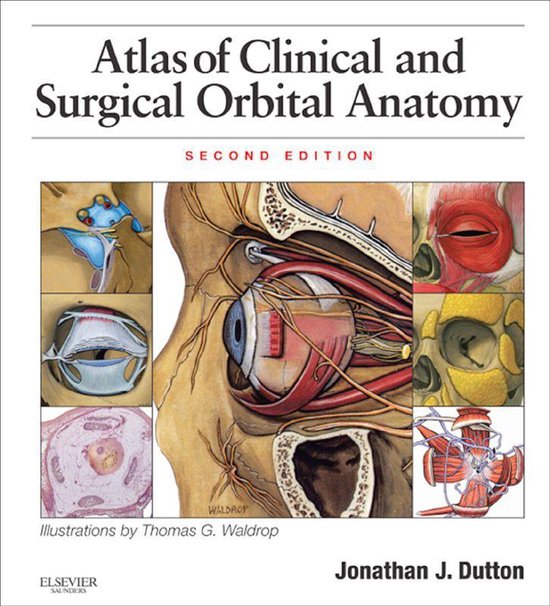 Atlas Of Clinical And Surgical Orbital Anatomy - cover