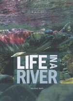 Life In A River