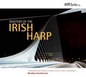 Masters of the Irish Guitar
