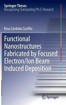 Functional Nanostructures Fabricated by Focused Electron/Ion Beam Induced Deposition