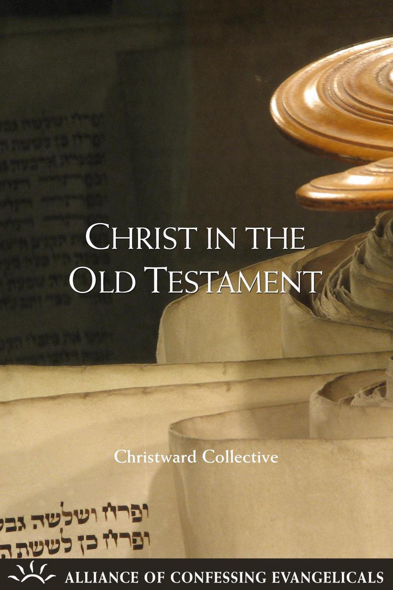 Christ in the Old Testament op Prijzenvolger.com