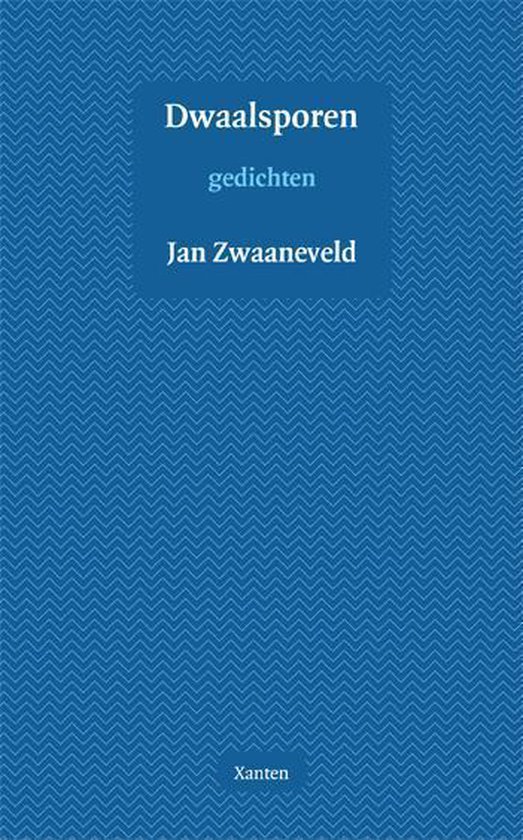 Cover van het boek 'Dwaalsporen'