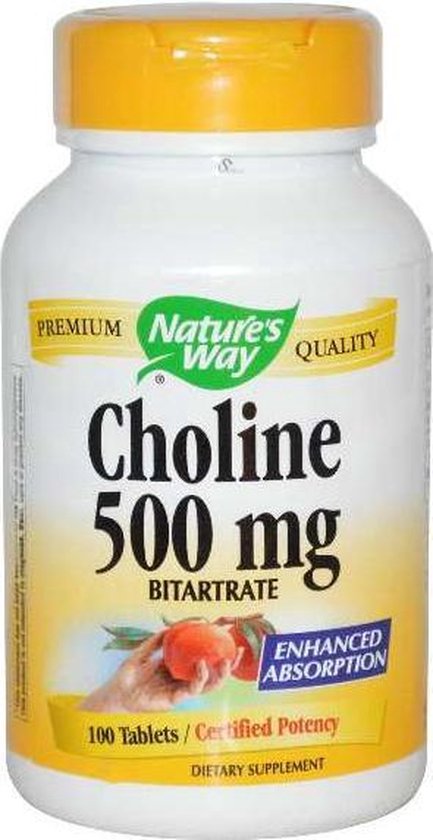 Choline, 500 mg (100 tabletten) - Nature's Way