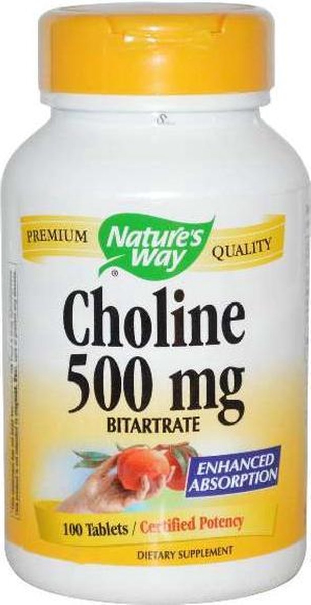 Choline, 500 mg (100 tabletten) - Nature's Way - Douglas Laboratories