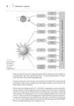 Diagram van zonne-energie als oorsprong van duurzame energiebronnen, met verschillende toepassingen.