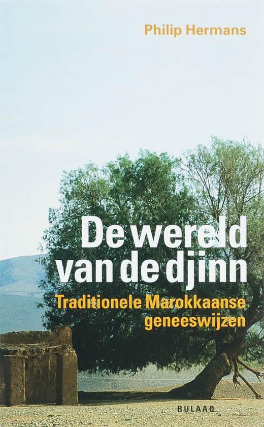 De Wereld Van De Djinn - cover