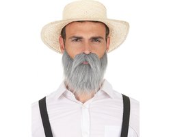 Vegaoo - Grijze snor en baard voor volwassenen