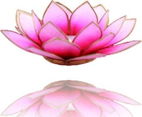 Lotus sfeerlicht roze/lichtroze goudrand - 13.5 cm - S