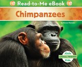 Animal Friends - Chimpanzees