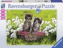 Ravensburger puzzel Picnick in de wei - Legpuzzel - 1000 stukjes