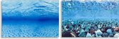 Ferplast aquarium achterwand blu 9047 80 x 40