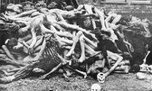 Death Camp Auschwitz