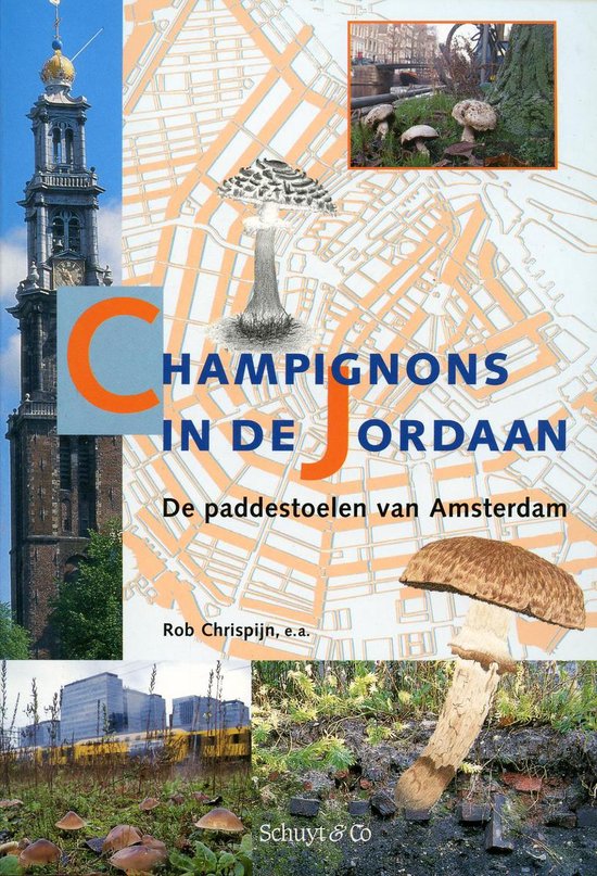 Champignons In De Jordaan