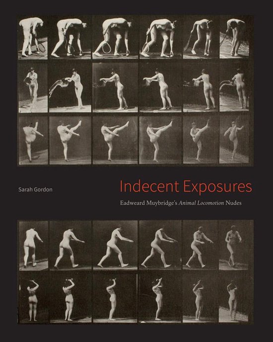 Indecent Exposures - cover