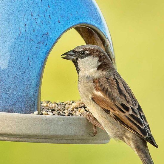 Vivara Mix voor kleine vogels vogelvoer | bol.com