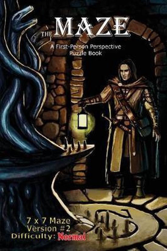The Maze: A First-Person Perspective Puzzle Book-The Maze - cover