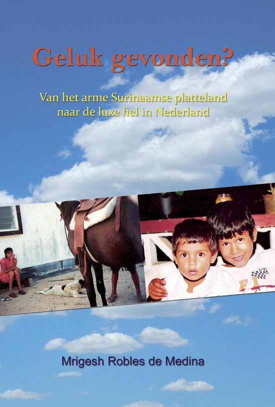 Cover van het boek 'Geluk gevonden?'