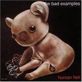 Bad Examples - Human Hell