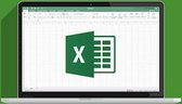 Online cursus Excel 2013 (E-learning)