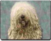 Komondor Muismat