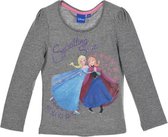 longsleeve shirt Disney Frozen maat 98/104