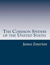 The Common Spiders of the United States