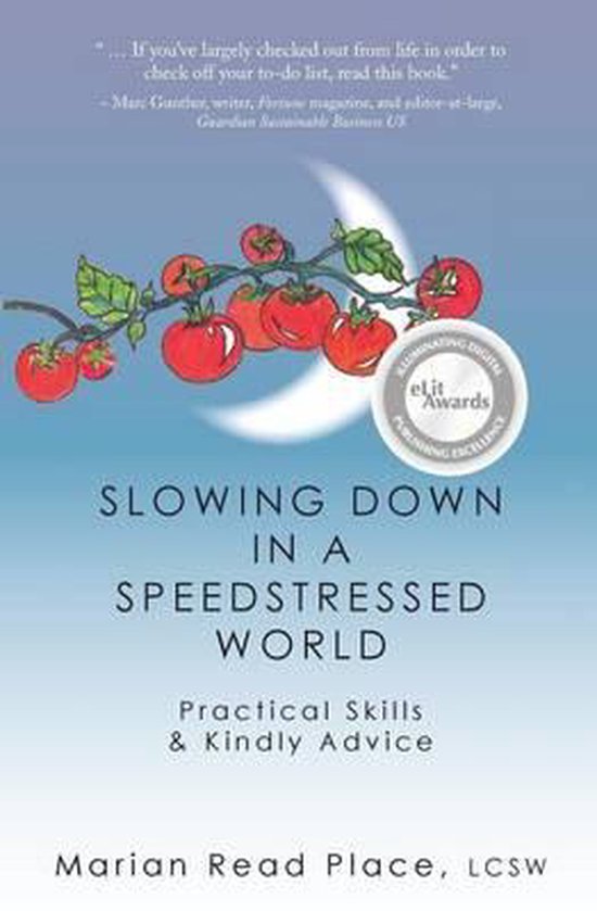 Slowing Down in a Speedstressed World - cover