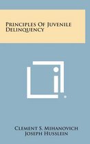 Principles of Juvenile Delinquency