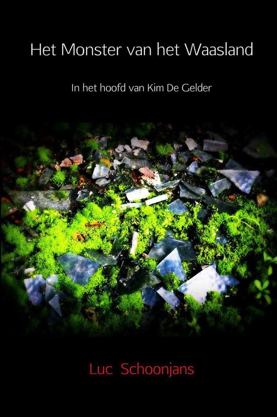 Het Monster van het Waasland: in het hoofd van Kim De Gelder - cover