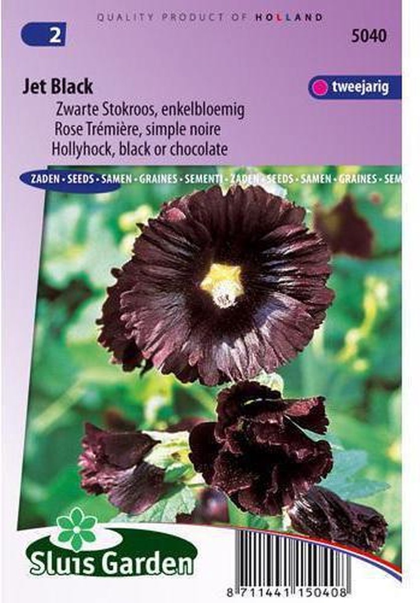 Sluis Garden - Stokroos Jet Black (Alcea rosea) - Sluis garden