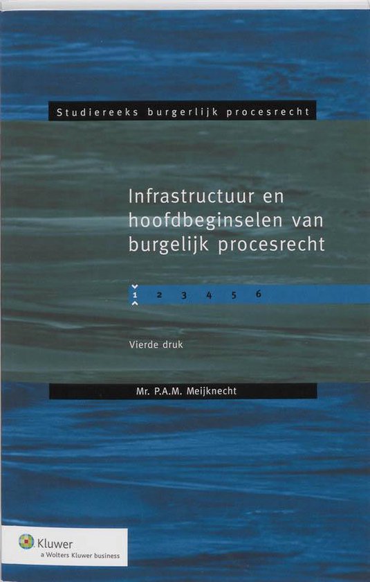 Infrastructuur en hoofdbeginselen van burgerlijk procesrecht - cover