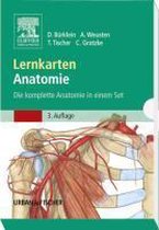 Lernkarten Anatomie