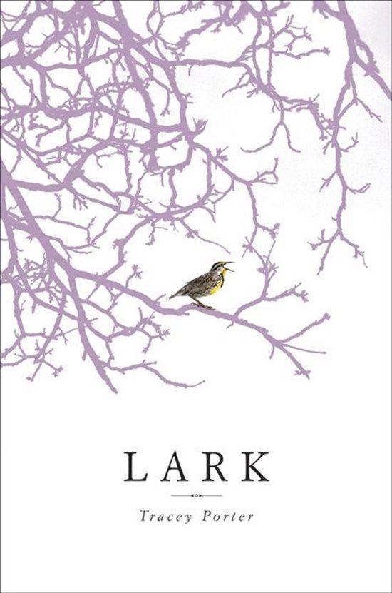 Lark - cover