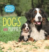 Animals and their Babies