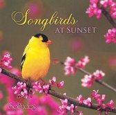 Songbirds at Sunset