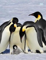 Penguin Notebook