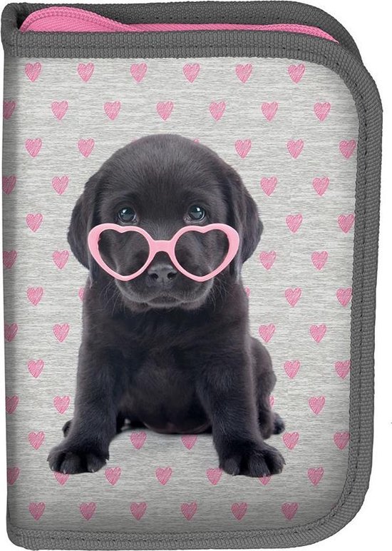 Studio Pets Puppy Glasses - Leeg Etui - 19.5 cm - Multi