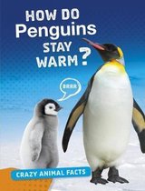 How Do Penguins Stay Warm?