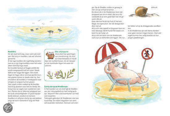 Op Pad Met De Boswachter