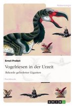 Vogelriesen in der Urzeit