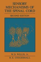 Sensory Mechanisms of the Spinal Cord
