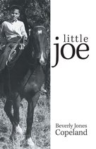Boek cover Little Joe van Beverly Jones Copeland (Onbekend)