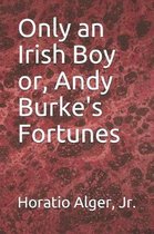 Only an Irish Boy or, Andy Burke's Fortunes