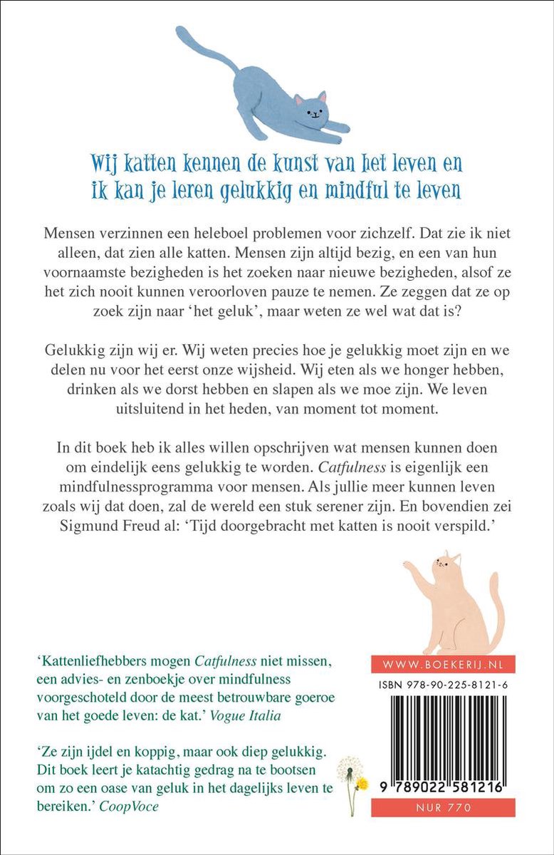Boekomslag met illustratie van een kat op een boekenplank en een liggende kat, met titel 'Wij katten kennen de kunst van het leven en ik kan je leren gelukkig en mindful te leven'.