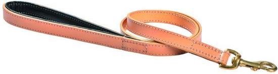 Dbl Velura - Hondenriem - Roze - Stof - 120 CM X 20 MM - Vergelijk prijzen